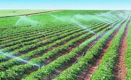 一起草逼网农田高 效节水灌溉
